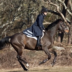 Stierna NOVA Regnfrakke /Navy - Hest og rytter på tur